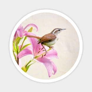 Pink Lilies and the Carolina Wren Magnet